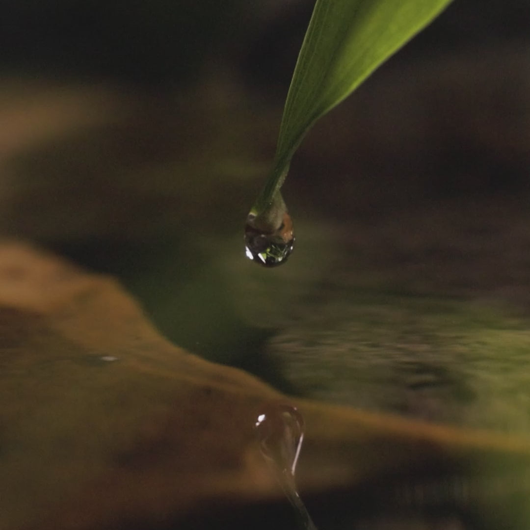 SuperNatural Drops (Mineral Drops)