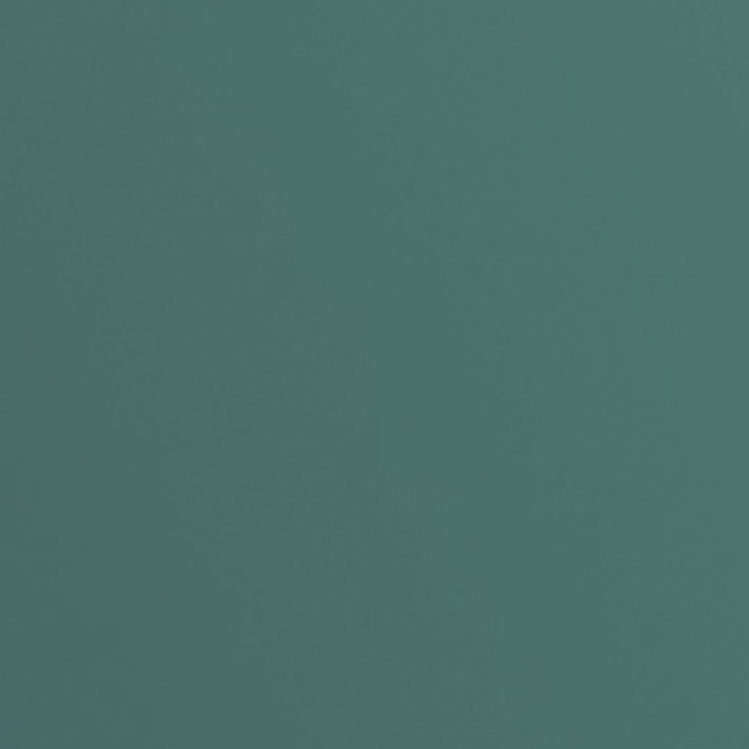 TwinGreen (Spirulina + Chlorella)